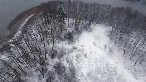 Aerial drone view of the winter forest and lake, 4k Stock Footage 233876995