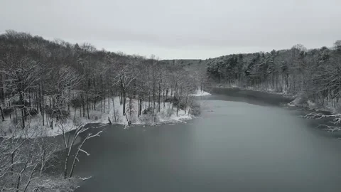 Aerial Drone View Of The Winter Forest And Lake, 4K Video Stock Footage 296198085