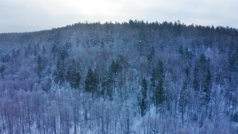 Aerial drone view of a winter forest covered with frost and snow. 스톡 동영상 327540087
