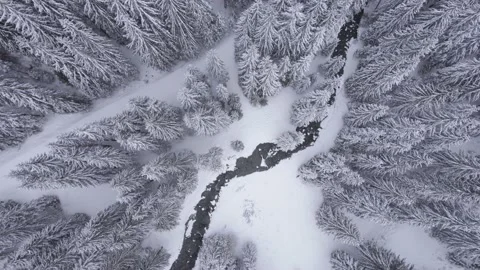 Aerial drone view of winter landscape in the mountains in Transylvania Stock Footage 234409698