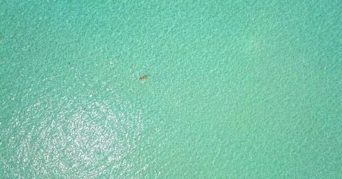 Aerial drone view of a woman floating and swimming on a tropical island. Stock Footage