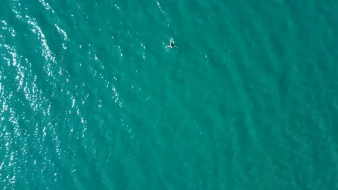 Aerial drone view of a young alone girl floating in the transparent sea Stock Footage 129380436