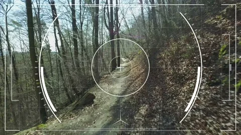 Aerial Drone Vision of Trees in Forest on Sunny Day Stock Footage 151998757