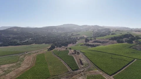 Aerial Drone Wide Pull Out Over Napa Valley Vineyard Patchwork, California, 4K Vídeo Stock 336035248