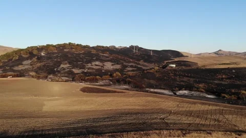Aerial Drone Wide View of Burned Hills and Golden Fields, Napa Wildfire, 4K Vídeo Stock 334588096
