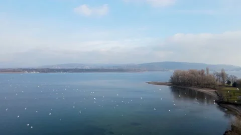 Aerial Drone - Winter Landscape on the Lake with Seagulls Stock Footage 167659164