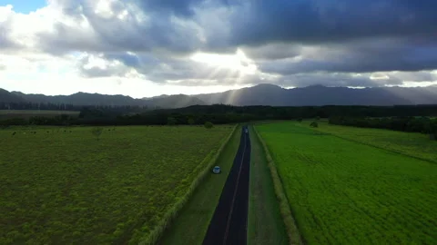 Aerial Drones view of Sunbeams break through a cloud in Kauai over a field Stock Footage 303035166