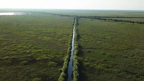 Aerial Drop Down To Straight Narrow Canal Surrounded By Lush Green Foliage Stock-Footage 125168034