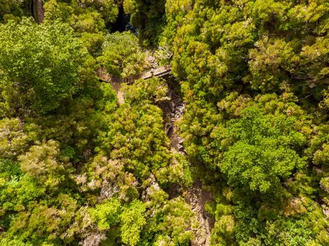 Aerial drop down view of forest waterfall falling into pond. Stock Photos