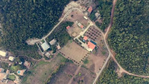 Aerial drop down view of olive farm houses with swimming pool. Stock Photos