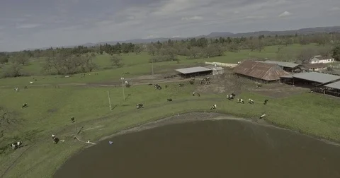 Aerial drop on over lake and farm. Stock Footage 75807553