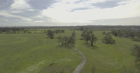 Aerial drop in on trees in open farm land. Stock Footage 75711367