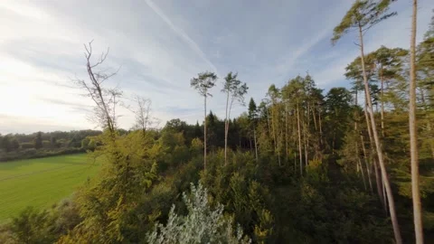 Aerial dynamic FPV drone flight  in green forest and field of Germany. Stock Footage 167543416