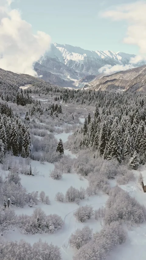 Aerial dynamic hyperlapse over snow covered pine forest and wooden hut near.. Stock Footage 324955171