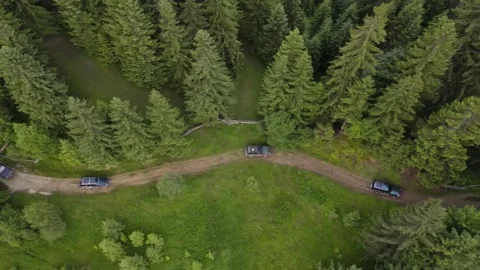 Aerial dynamic shot of a black suvs driving through the forest in the Carpathian Video stock 169755177