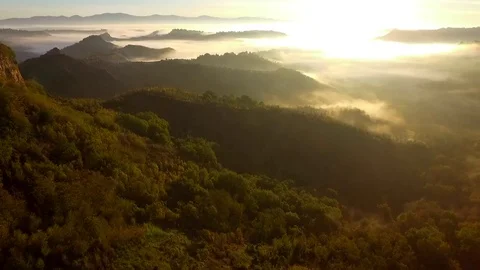 Aerial dynamic view flying over foggy forest mountains in dawn Stock Footage 70975591