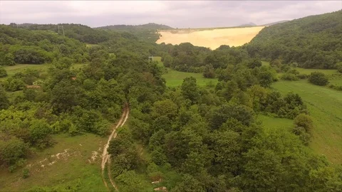 Aerial Earth's path through the forest Stock Footage 113334378