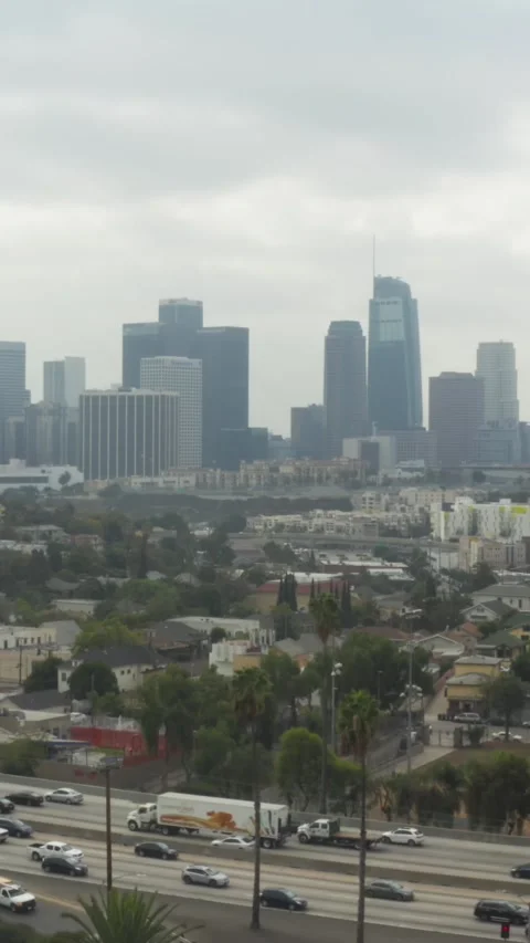 AERIAL: Echo Park towards Downtown Los Angeles, California with Palm Trees and H Stock Footage 337412672