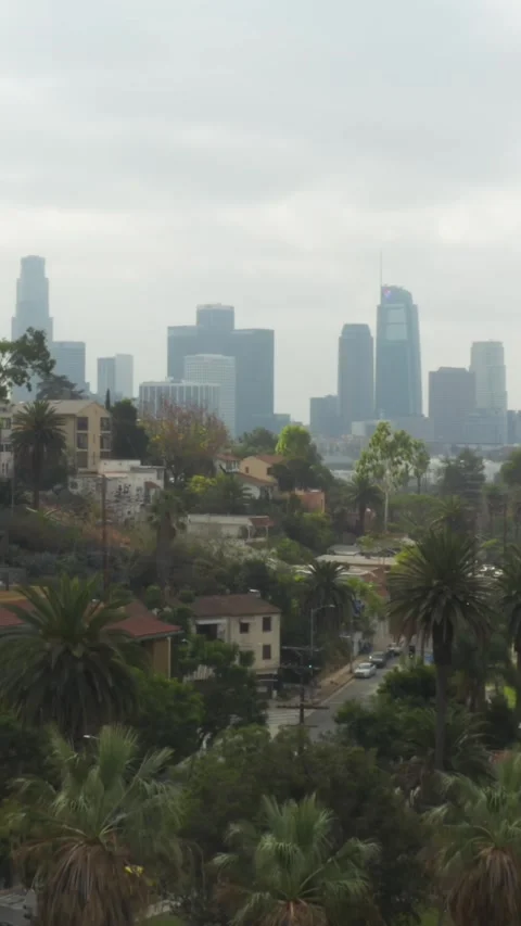 AERIAL: Echo Park towards Downtown Los Angeles, California with Palm Trees, Clou Stock Footage 337412681