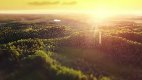 Aerial ecological forest sunset defocus beautiful panorama shot. Ideal Stock Footage 115961166