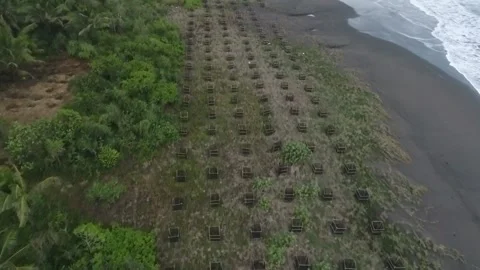 Aerial Ecosystem Integration Coastal 4K Vídeos de archivo 339055193