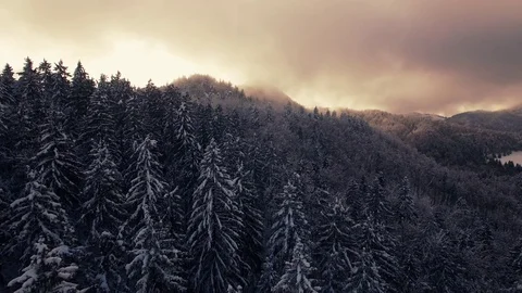Aerial, edited - Dramatic sky of sunlit low-level clouds over snowy trees Stock Footage
