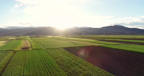 Aerial elevated drone view of grassland meadow agriculture fields in Slovenia Video stock 144188272