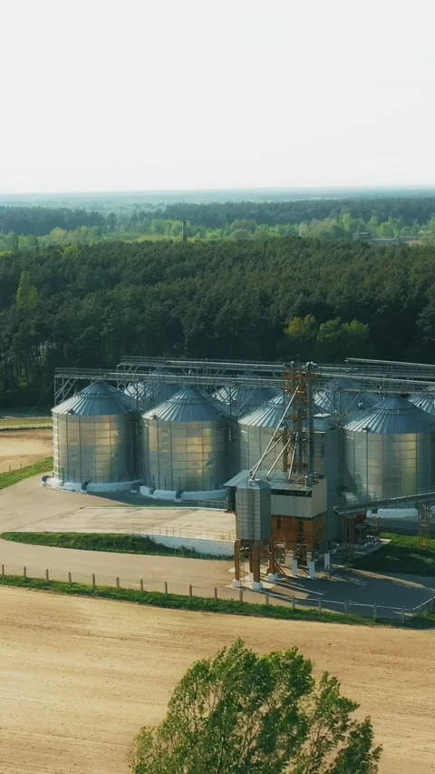 Aerial Elevated Top View Modern Granary, Grain-drying Complex, Commercial Grain Stock Footage 305429479