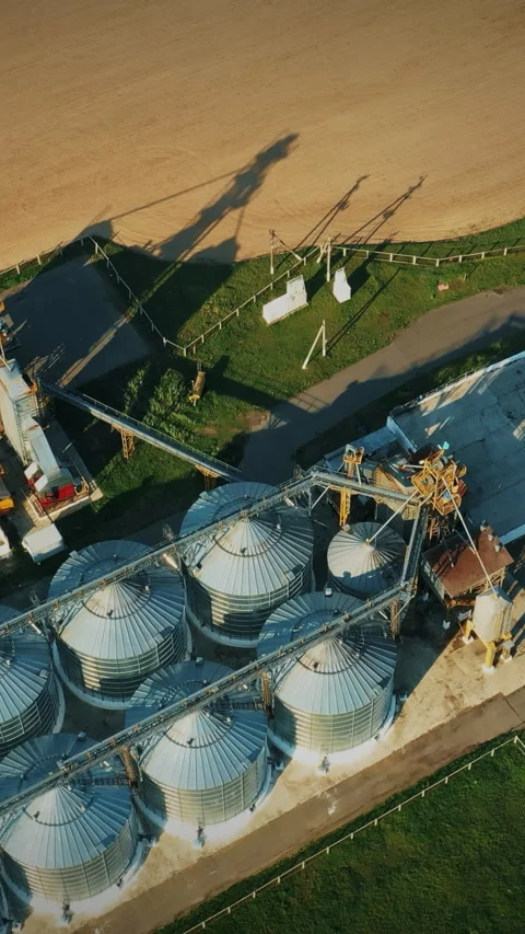 Aerial Elevated Top View Modern Granary, Grain-drying Complex, Commercial Grain Stock Footage 305490125