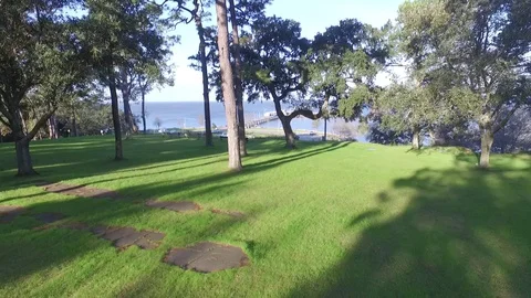 Aerial Elevating Revealing Shot of Pier Through Trees Stock Footage 129972641