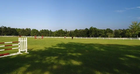 Aerial Elevation of Horses in field Video stock 90069702