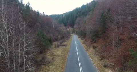 Aerial of an empty, asphalt road with no traffic during fall season Stock Footage 145694400
