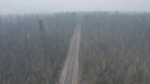 Aerial of empty road covered with fogs in forest landscape Stock Footage 105468004