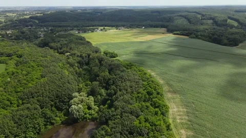 Aerial, Empty Road, Sown Fields, Forest, Grassland, Day, Ukraine Stock Footage 162620864