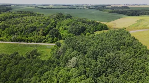 Aerial, Empty Road, Sown Fields, Forest, Grassland, Sunny, Ukraine Stock Footage 163093933