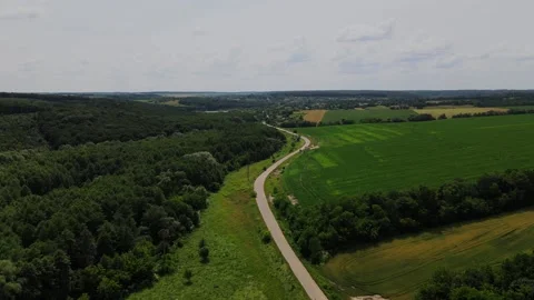 Aerial, Empty Road, Sown Fields, Forest, Grassland, Sunny, Ukraine Stock Footage 163093942