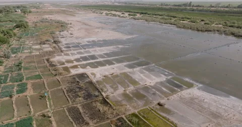 Aerial. Encroaching soil salinity causing sodic soils, unsuitable to farm Stock Footage 264873197