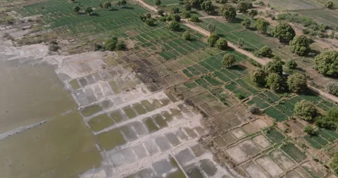 Aerial. Encroaching soil salinity causing sodic soils, unsuitable to farm Stock Footage 264873357