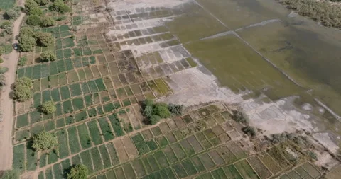 Aerial. Encroaching soil salinity causing sodic soils, unsuitable to farm Stock Footage 264873970