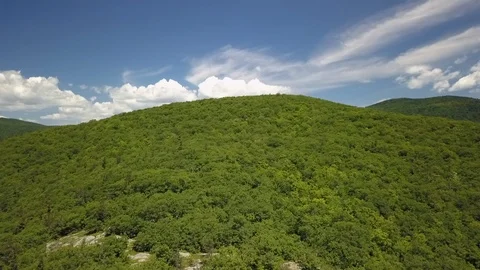 Aerial - endless green forest under a clear blue sky and puffy clouds Stock Footage 111452649