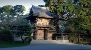 Aerial: Entrance To Japanese Gardens In The Golden Gate Park, San Francisco, Usa Stock Footage