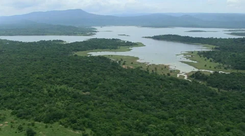 Aerial Environment Forest Canopy Trees National Park Stock Footage 29159341