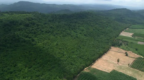 Aerial Environment Forest Encroachment Human Conflict Nature Stock Footage 29164680