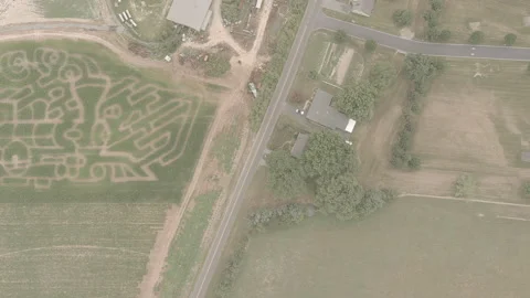 Aerial Epic Corn Field Maze 4K LOG. Stock Footage 230089724