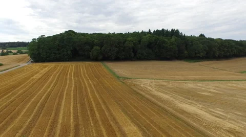 Aerial epic flight over fields and rising over a forrest distance view Video stock 52683531