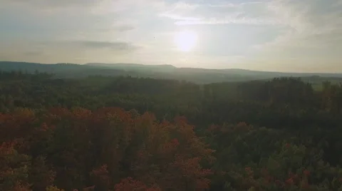 Aerial epic flight over forrest with sunset Video stock 55870646
