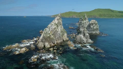 Aerial epic sharp cliffs rocks in sea ocean seascape Seagull birds fly. Russia Video stock 145767769