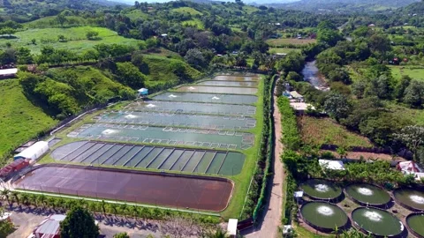 Aerial establish different fish breeding tanks, fish farm in rural landscape Stock Footage 310214163