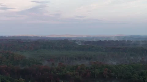 Aerial evaporation of the pine forest of Landes in France next to dune du pilat Video stock 252138170