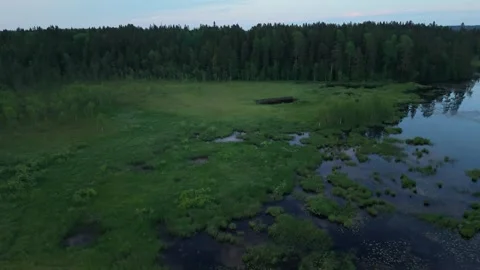 Aerial evening flight over a lush marshland with patches of water and green Stockbeeldmateriaal 312804325